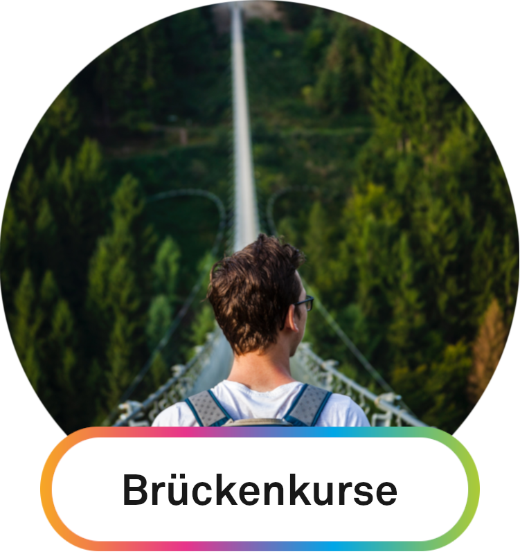 Brückenkurse